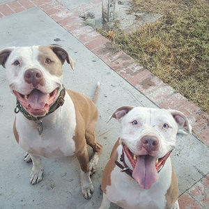 Meet your Posher, Jorge